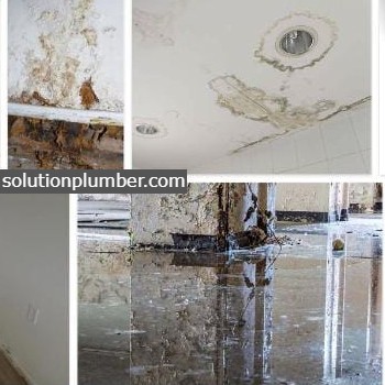 Mold Grows After A Water Leak